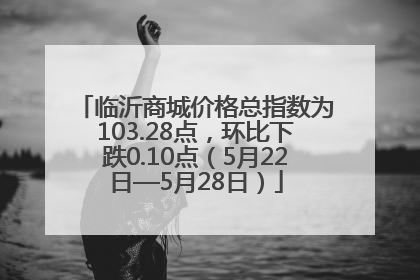 临沂商城价格总指数为103.28点，环比下跌0.10点（5月22日—5月28日）