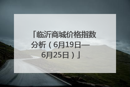 临沂商城价格指数分析（6月19日—6月25日）