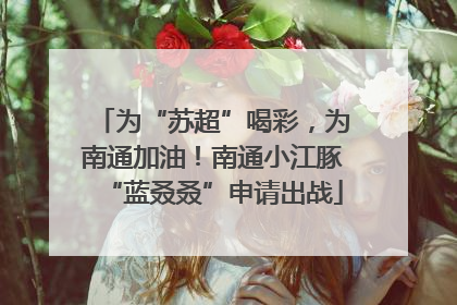 为“苏超”喝彩，为南通加油！南通小江豚“蓝叒叒”申请出战