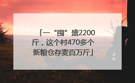 一“囤”盛2200斤，这个村470多个新粮仓存麦百万斤