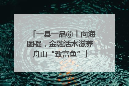 一县一品⑥丨向海图强，金融活水滋养舟山“致富鱼”