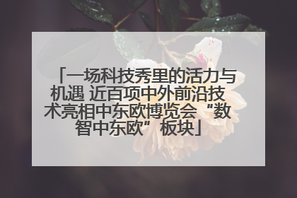 一场科技秀里的活力与机遇 近百项中外前沿技术亮相中东欧博览会“数智中东欧”板块