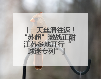 一天丝滑往返！“苏超”激战正酣 江苏多地开行“球迷专列”