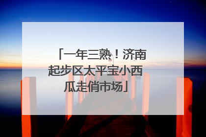 一年三熟！济南起步区太平宝小西瓜走俏市场