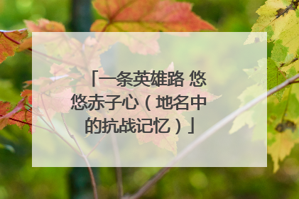 一条英雄路 悠悠赤子心（地名中的抗战记忆）