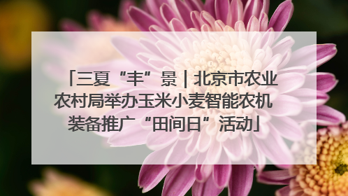 三夏“丰”景｜北京市农业农村局举办玉米小麦智能农机装备推广“田间日”活动