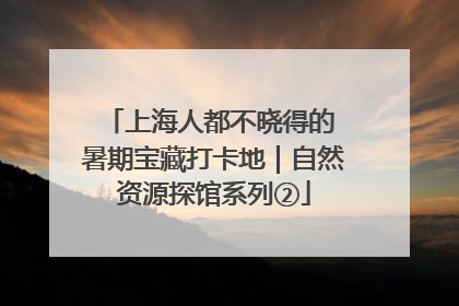 上海人都不晓得的 暑期宝藏打卡地｜自然资源探馆系列②