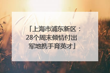 上海市浦东新区：28个周末倾情付出 军地携手育英才