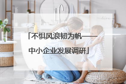 不惧风浪韧为帆——中小企业发展调研