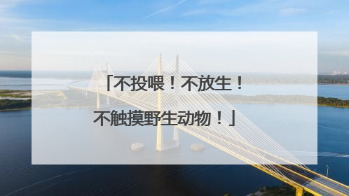 不投喂！不放生！不触摸野生动物！