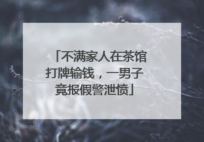 不满家人在茶馆打牌输钱，一男子竟报假警泄愤