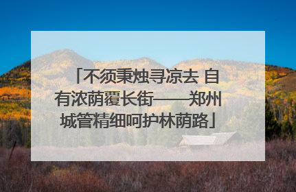 不须秉烛寻凉去 自有浓荫覆长街——郑州城管精细呵护林荫路