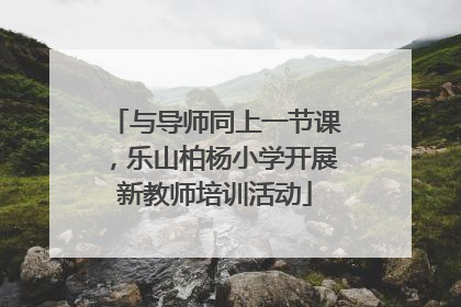 与导师同上一节课，乐山柏杨小学开展新教师培训活动