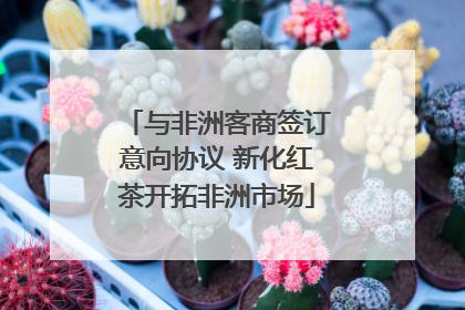 与非洲客商签订意向协议 新化红茶开拓非洲市场