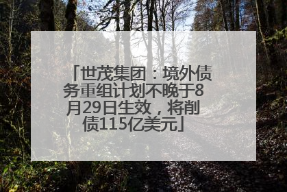 世茂集团：境外债务重组计划不晚于8月29日生效，将削债115亿美元