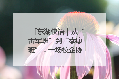 东湖快语｜从“雷军班”到“泰康班”：一场校企协同的“接力赛”