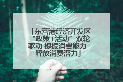 东营港经济开发区“政策+活动”双轮驱动 提振消费能力 释放消费潜力