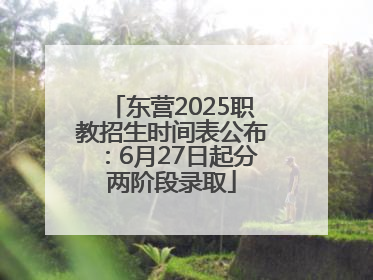东营2025职教招生时间表公布：6月27日起分两阶段录取