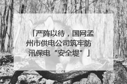 严阵以待，国网孟州市供电公司筑牢防汛保电“安全堤”