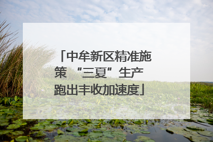 中牟新区精准施策 “三夏”生产跑出丰收加速度