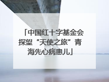 中国红十字基金会探望“天使之旅”青海先心病患儿