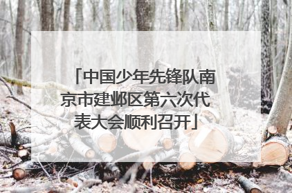 中国少年先锋队南京市建邺区第六次代表大会顺利召开
