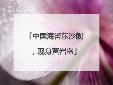中国海警东沙舰，现身黄岩岛