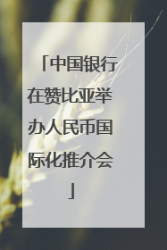中国银行在赞比亚举办人民币国际化推介会