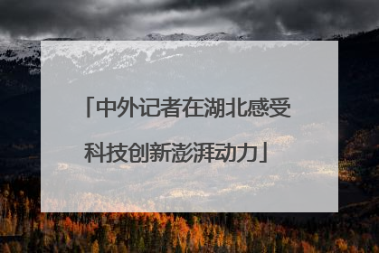 中外记者在湖北感受科技创新澎湃动力