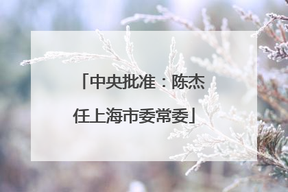 中央批准：陈杰任上海市委常委