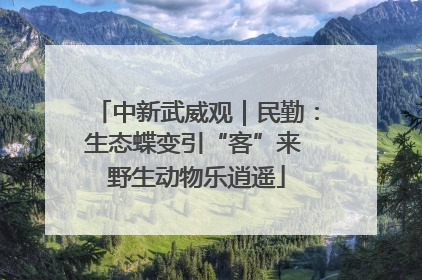中新武威观｜民勤：生态蝶变引“客”来 野生动物乐逍遥
