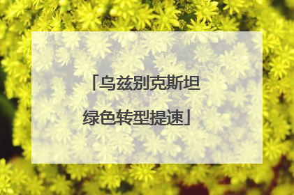 乌兹别克斯坦绿色转型提速