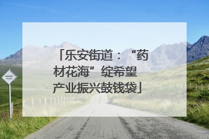 乐安街道：“药材花海”绽希望 产业振兴鼓钱袋