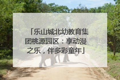 乐山城北幼教育集团桃源园区：享动漫之乐，伴多彩童年