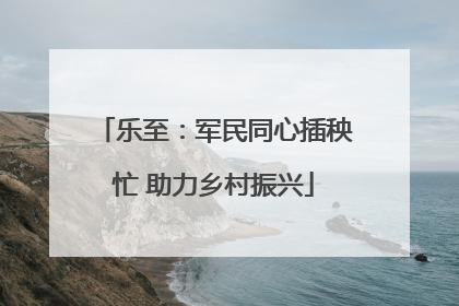 乐至：军民同心插秧忙 助力乡村振兴