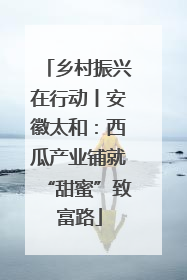 乡村振兴在行动丨安徽太和：西瓜产业铺就“甜蜜”致富路