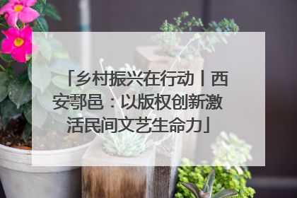 乡村振兴在行动丨西安鄠邑：以版权创新激活民间文艺生命力