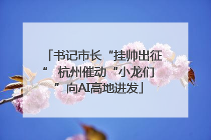 书记市长“挂帅出征” 杭州催动“小龙们”向AI高地进发