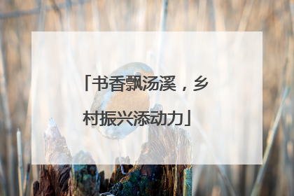 书香飘汤溪，乡村振兴添动力