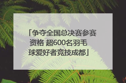 争夺全国总决赛参赛资格 超600名羽毛球爱好者竞技成都