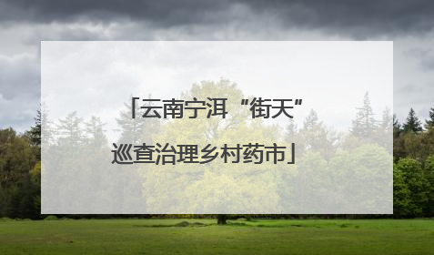 云南宁洱“街天”巡查治理乡村药市