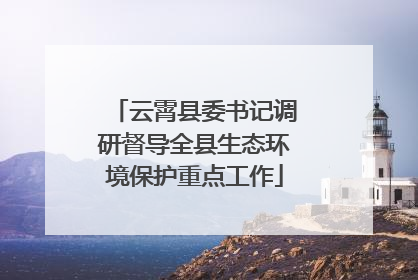 云霄县委书记调研督导全县生态环境保护重点工作