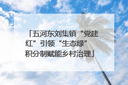 五河东刘集镇“党建红”引领“生态绿” 积分制赋能乡村治理