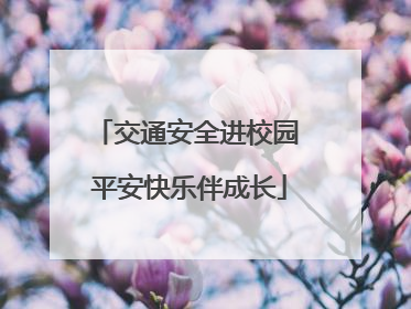 交通安全进校园 平安快乐伴成长