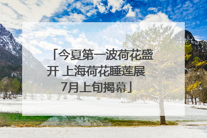 今夏第一波荷花盛开 上海荷花睡莲展7月上旬揭幕