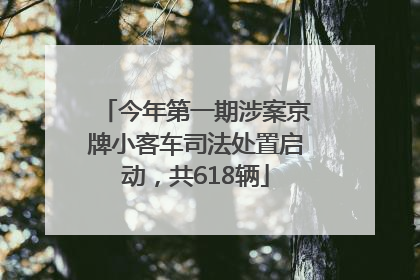 今年第一期涉案京牌小客车司法处置启动，共618辆