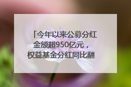 今年以来公募分红金额超950亿元，权益基金分红同比翻倍｜招财猫