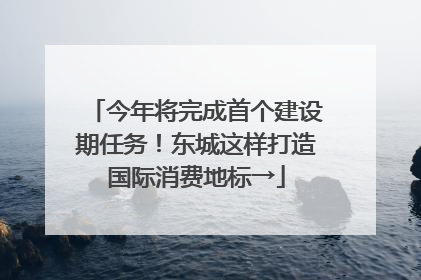 今年将完成首个建设期任务！东城这样打造国际消费地标→