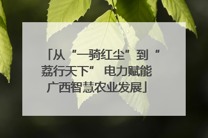 从“一骑红尘”到“荔行天下” 电力赋能广西智慧农业发展