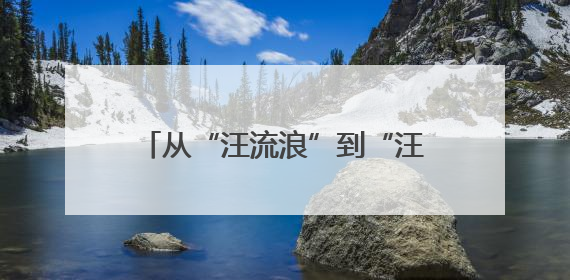 从“汪流浪”到“汪师傅”，历经23年几代人，视频接通那一刻，他泪流满面……